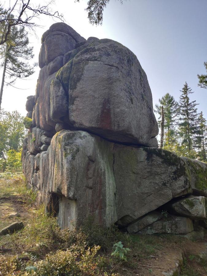 Ferienwohnung Cassiopeia Harzgerode Exteriör bild